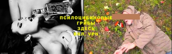 ПСИЛОЦИБИНОВЫЕ ГРИБЫ Заволжье