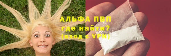 ПСИЛОЦИБИНОВЫЕ ГРИБЫ Заволжье