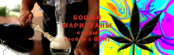 ПСИЛОЦИБИНОВЫЕ ГРИБЫ Заволжье
