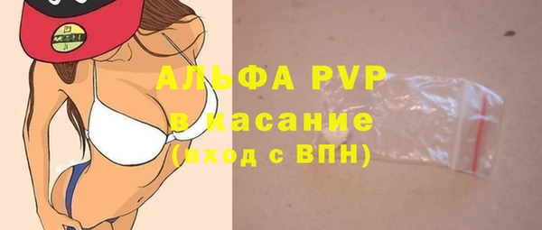 прущие грибы Заволжск