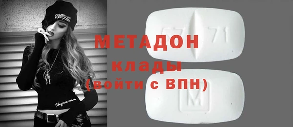 прущие грибы Заволжск