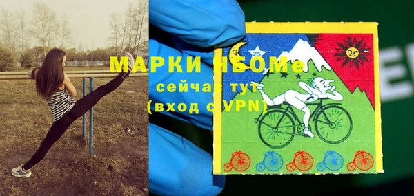 ПСИЛОЦИБИНОВЫЕ ГРИБЫ Заволжье