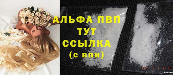 прущие грибы Заволжск