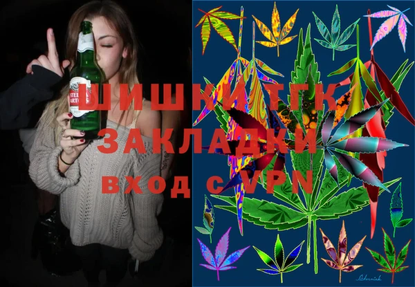 ПСИЛОЦИБИНОВЫЕ ГРИБЫ Заволжье