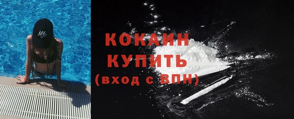 прущие грибы Заволжск
