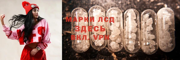прущие грибы Заволжск