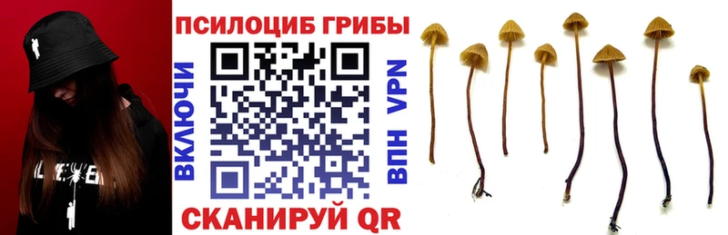 Псилоцибиновые грибы мухоморы  Купить закладки  Югорск 